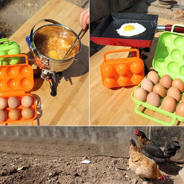 20*19.5CM - Bærbare eggbokser for 12 egg - Oppbevaringsboks i plast for camping, piknik