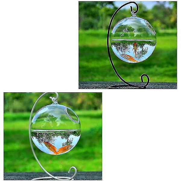 Akvariefisk Glas DIY Pot Vase - Hydroponisk Vægophæng Hjemmeindretning Sort