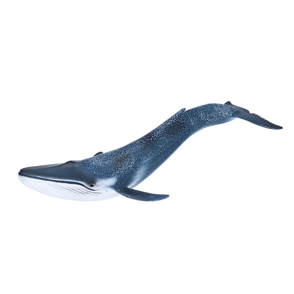 Blue Whale Doll Leksak Pedagogisk mini marina djur havsstaty Barnmodell docka