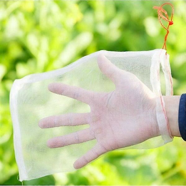 Pakke med 100 Anti-Insekt Nettposer - for Beskyttelse av Blomster og Frukt