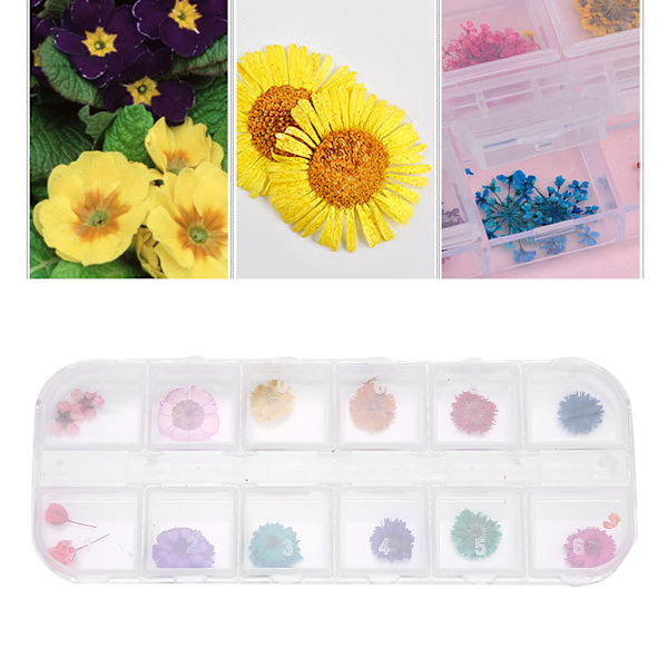 12 färger / låda torkade blommor nageldekoration DIY nagelkonst dekoration tillbehör D-stil