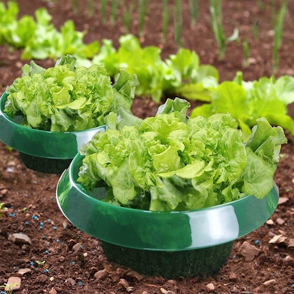 Snegleafvisende beskyttende ring Sneglekrave til beskyttelse af planter mod dyrespisning