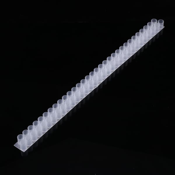 6st Plast Drottningbi Dubbel Cell Bar Strip Set Bas För Biodling Med 63 Drottningcellskoppar