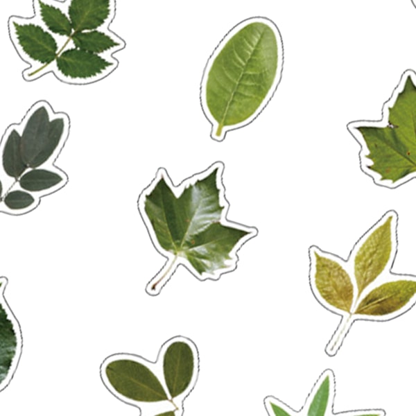 40 st PET-klistermärken med bladtema, växtmaterial, klistermärken för gör-det-själv-handbok, klistermärken med växttema, grön gren