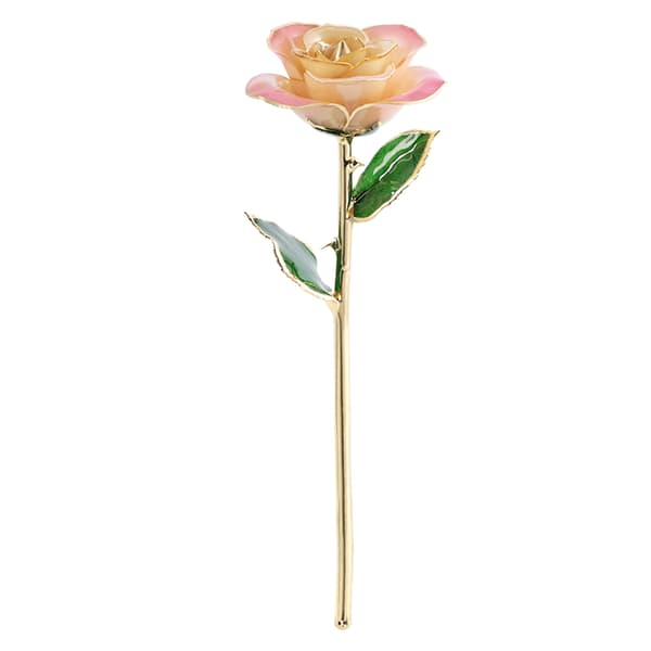 Ejoyous 24K guldpläterad äkta ros med rosställning rosa kräm