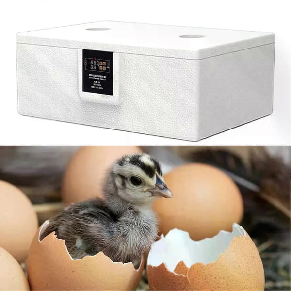 Egg Incubator 10-25 Automatic Egg Incubator Automatic Turning Poultry Incubator Intelligent Hatcher For Home Use