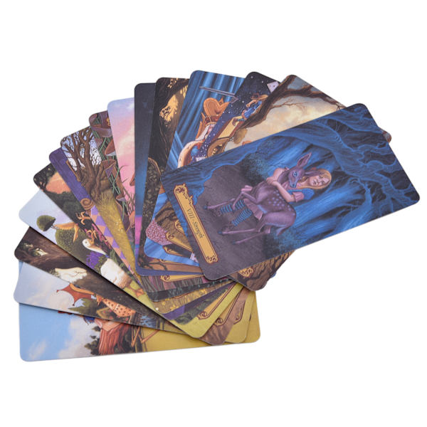 78PCS Wonderland Tarot-kort Divinasjonsverktøy Belagt Papir Engelsk Brettspill for Nybegynnere