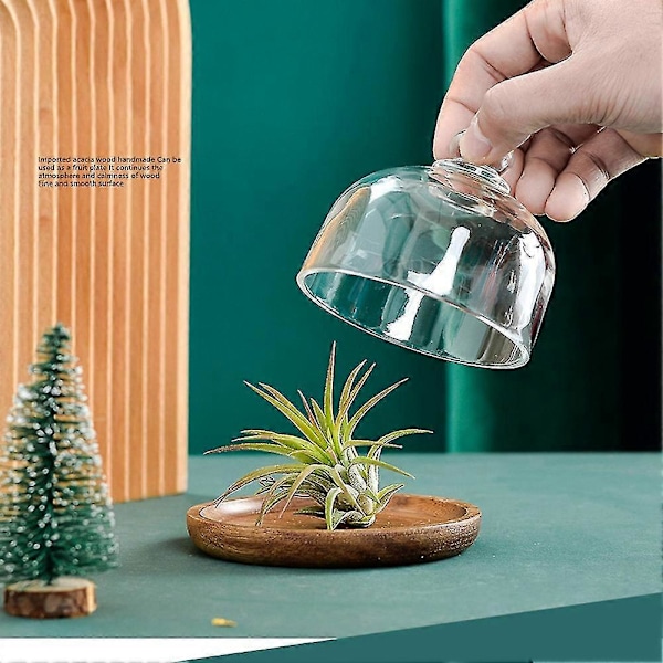 Mini Dessert Serveringsstand Kagefad med Kuplåg - Multifunktionel Bakke til Hoteller (4 stk)