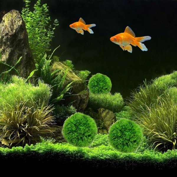 Aquarium Green Seaweed Balls - Naturtro vanngress til dekorasjon av fiskekar