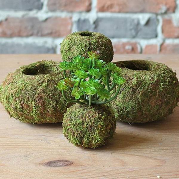 Mossboll i japansk stil Trädgårdsarbete Krukväxt Moss blomkruka A A