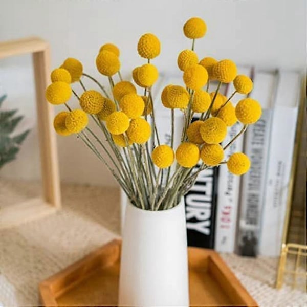40 st Torkade Craspedia Blommor Torkade Billy Button Bollar Blommor Zekai
