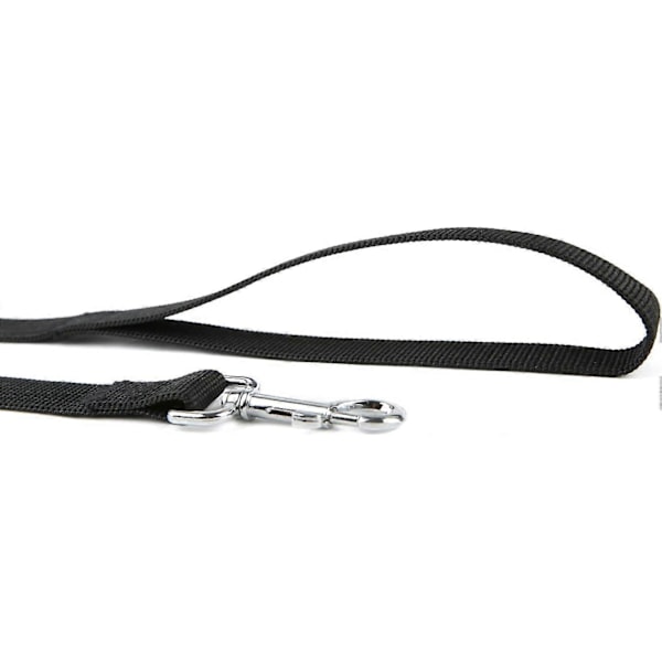 2,5cm*20m(470g) Sterk og Holdbar Nylon Hundetreningsline, Trekktau, 1,2m / 1,5m / 1,8m Lang, 1,6cm / 1,9cm / 2,5cm Bred, for Små og Mellomstore Hunder