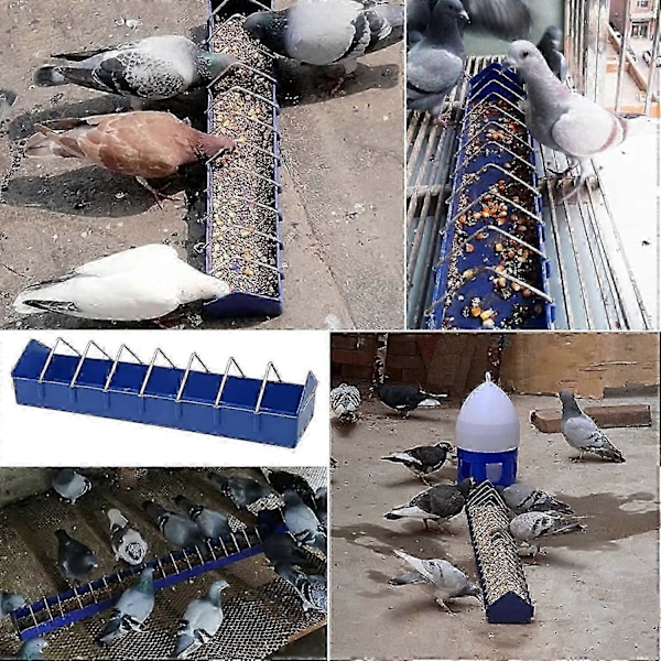 Pigeon Ruokintateline Ruoka-annostelija Työläinen Papukaija Lanka Kaukalo Tarvikkeet - 2 Kappaletta