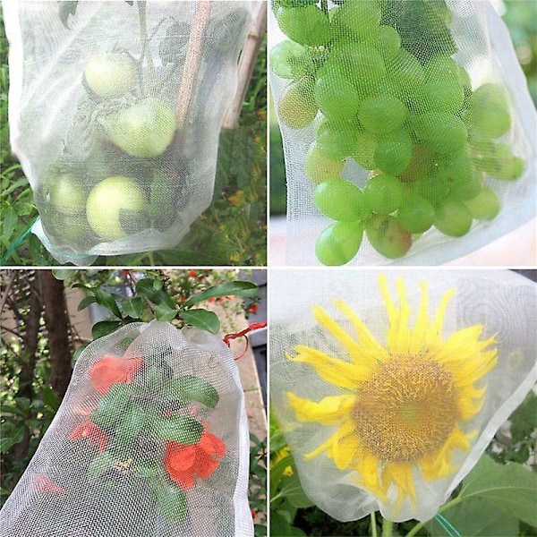 Druvor Organza Påse - 100 st, 30x20cm, Komplett Skydd Mot Getingar, Fåglar, Insekter