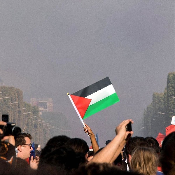 50 st Palestinska flaggor små med pinne, 14X21cm Palestinsk handviftande flagga - Dubbelsidiga fina handhållna flaggor kompatibla med utomhusbruk-B3
