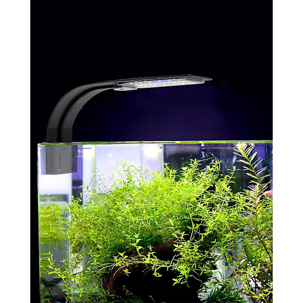 Mini Akvarium Kliplamper med 24 Hvide og Blå LED'er - 10W (Sort)