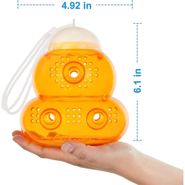 Timeglassformet vepsefelle - Fang veps, bier, gule jakker, fruktfluer, geithams - Innendørs/utendørs