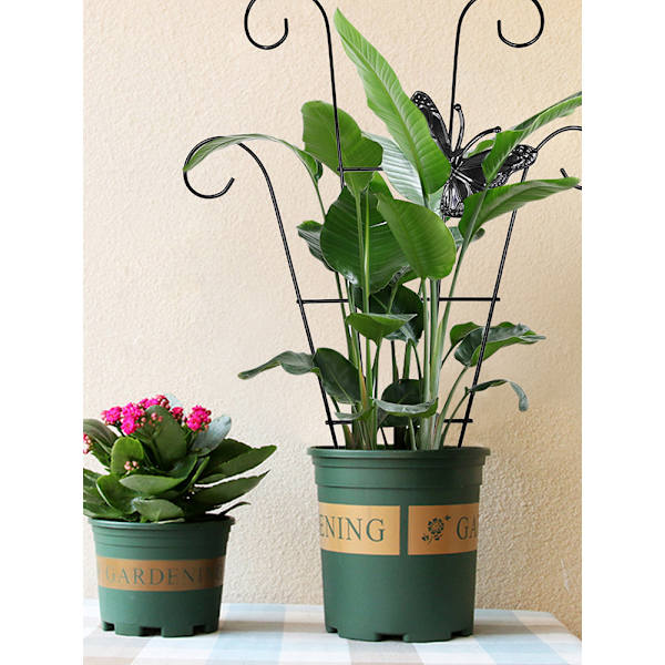 Trädgårdsspaljé i rostfritt stål för klätterväxter Vine Plant Support Spaljé för Vines C C