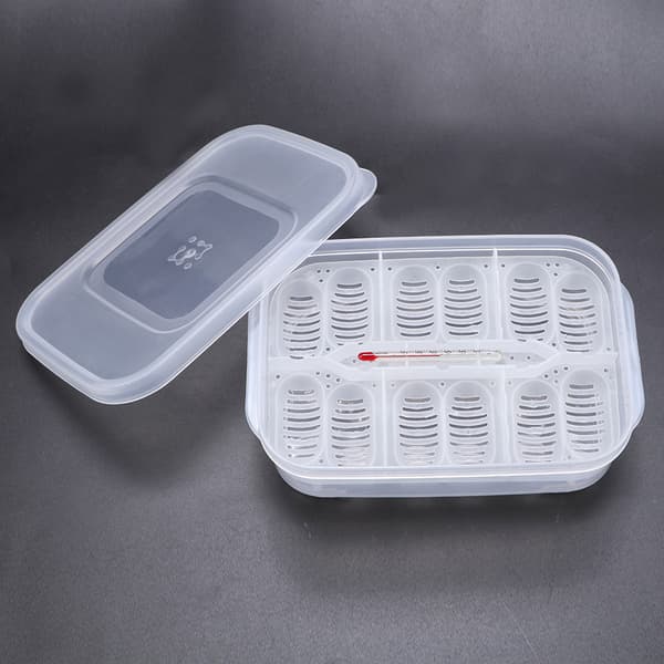 Transparent Plast Professionell Gecko Ormar Ödlor Reptiler Ägg Häckande Inkubator Bricka Kläckningslåda