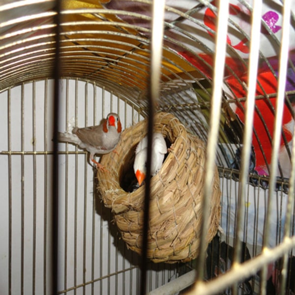 Fuglerede Græssvale Pæon Venia Pearl Budgie Ti Søstre Farverigt Fuglehus Opdræt Fuglerede forsyninger
