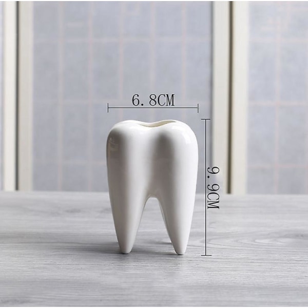 2 valkoisen keraamisen hampaan muotoisen mehevän istutuskoneen set - Minikukkaruukut kodin ja toimiston sisustukseen