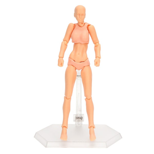 PVC Konstnärer Actionfigur Modell Människa Ritning Modell Kvinna Mannekäng DekorationPrimär Färg