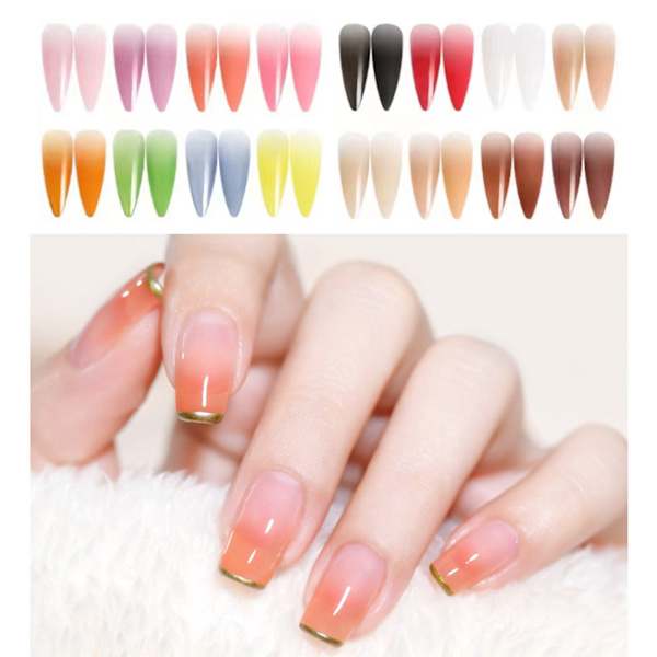 Gradient Pink Magic Mirror Nail Art Powder - 17 färger B