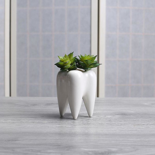 Sæt med 2 hvide keramiske tandformede sukkulentplanter - Mini-urtepotter til bolig- og kontorindretning