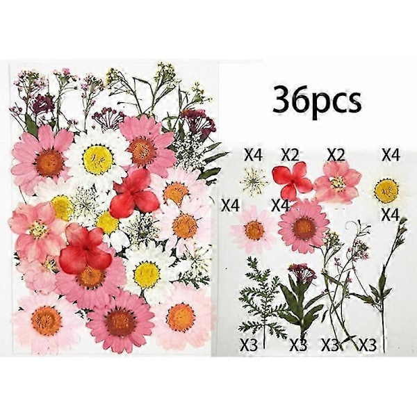 36 stk Ekte Tørkede Pressede Blomster Blader Kronblader kompatible med DIY Lys Resin Smykker Negl Anheng Håndverk Ma