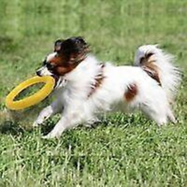 Hunde fitness ring, hundebidering, hunde agility træningsudstyr, (gul)