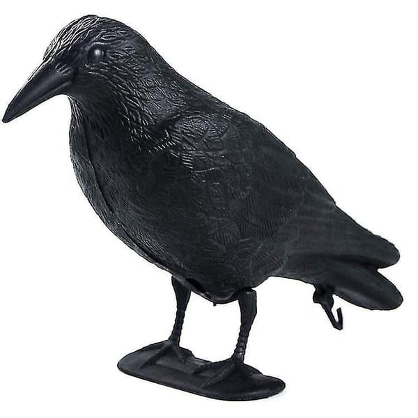 Bird and Pigeon Repellent, Animal Deterrent