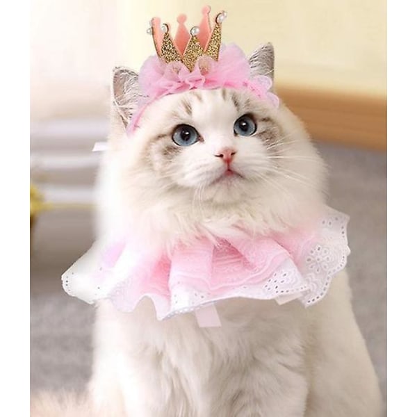 Princess Cat Costume med rosa bandana och krona - söt outfit för födelsedagsfest