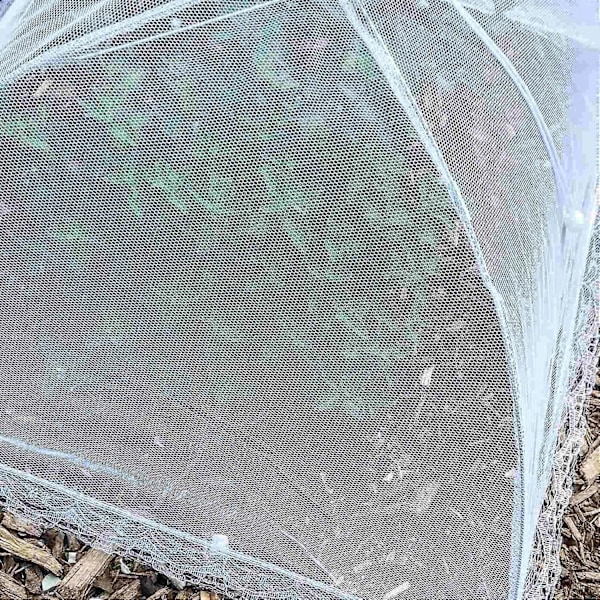 (6 kpl) Suuret ja korkeat 17x17 Pop-Up hyönteisverkot ruoan suojaksi, teltta-sateenvarjo ulkokäyttöön, hyttysverkot