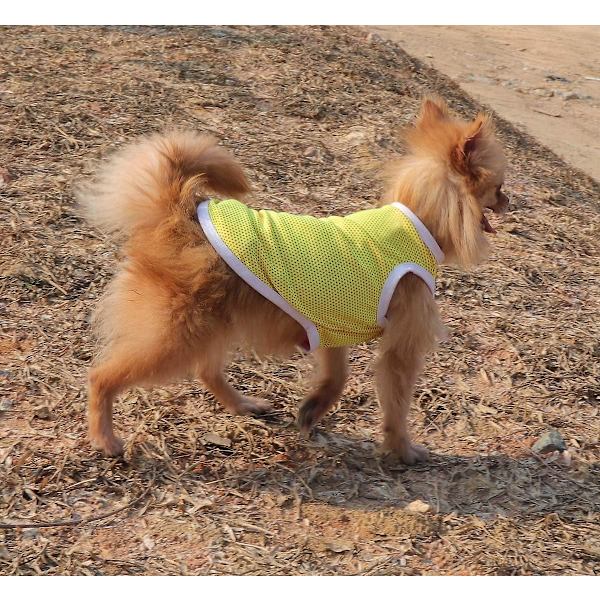 Minimalistisk hundtröja, liten, blå/gul, 100 % bomull, kortärmad sommarkläder för husdjur