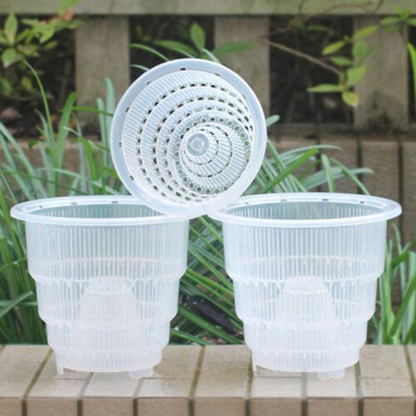 Läpinäkyvä hengittävä orkidearuukku 12 cm ilmapylväällä 12cm