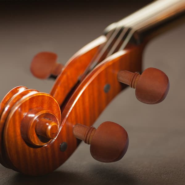 1 sæt Jujube Træ Violin Dele 4/4 Tilbehør Hagestøtte Stemmeskruer Stol Tunere Endepind