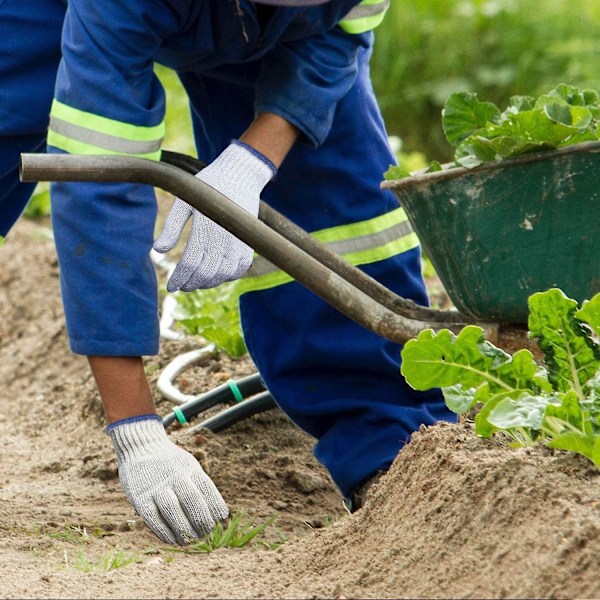 Arbejdshandsker i bomuld og polyester til sikkerhed - 12 par