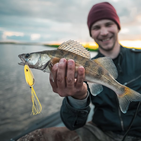 2 stk kunstig froskeformet lokkebunn skjegg lokke agn med kroker fiskeutstyr tilbehør4#