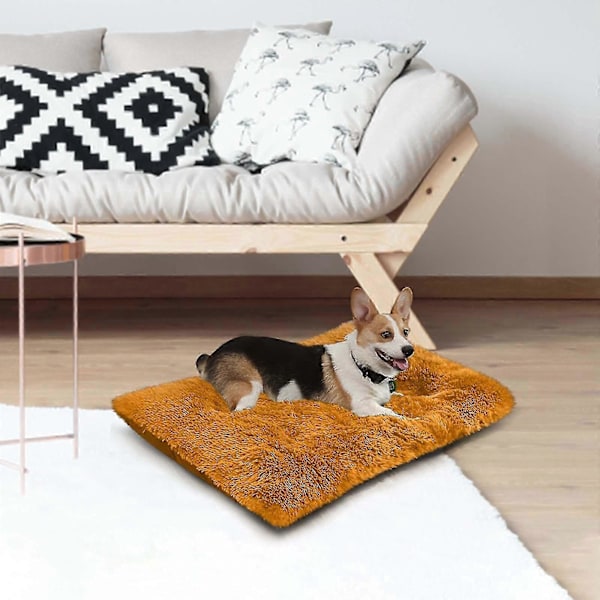 Mukava Kennel Koirien Lemmikkipeti Syvä Uni Pv Pölyämätön Nukkumapaikka Oranssi