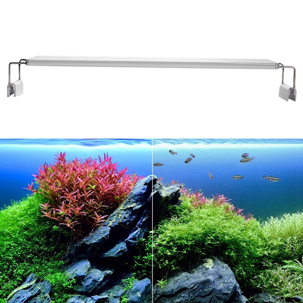 EU-stik 200-240V 13W LED-lys med høj lysstyrke og beslag til akvariebelysning