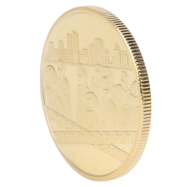 Jag överlevde 2020 minnesmynt dubbelsidigt mynt minnesmynt gåva för samlare (guld)