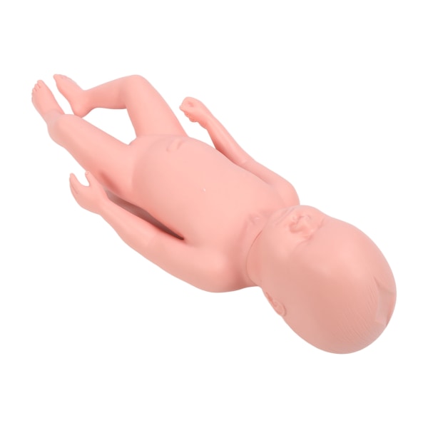 Newborn Model Plastic Educational High Simulation Full Term Baby Simulator Model Til Undervisning