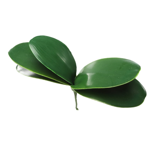 Phalaenopsis Blad Orkidéblad Bröllop Heminredning Simuleringsväxter