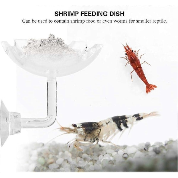 Akvarium Fisketank Reke Fôring Matrett Skål Akryl Vann Matrett Mater Brett