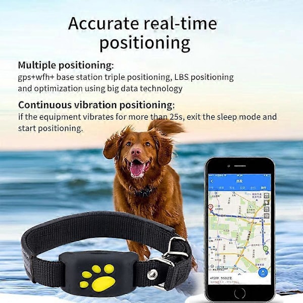 Smart Djurhalsband med GPS-tracker och Lättviktig Vattentät Aktivitetsmätare för Katter och Hundar