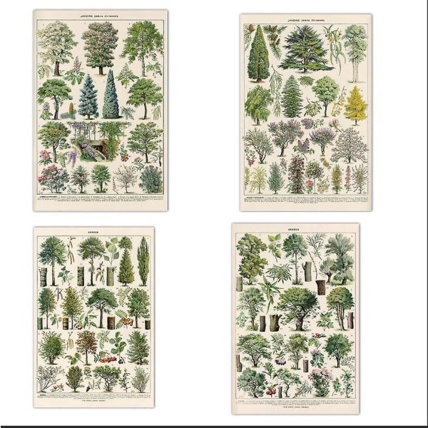 Vintage Trees print - 4 set 30 x 40 cm Vintage Tree -kuvia