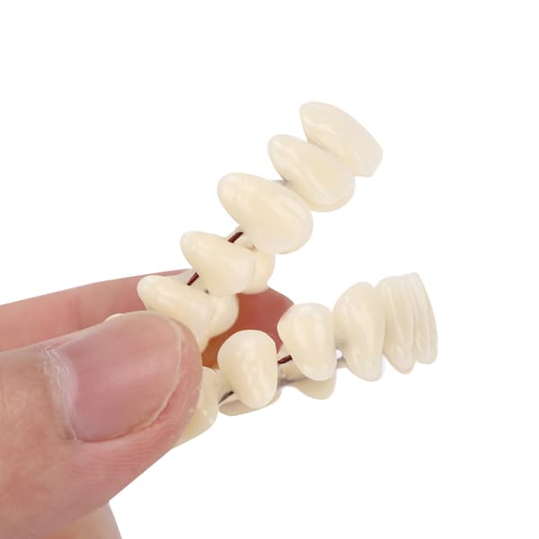 10 kpl hartsihampaiden opetusmalli hammastarviketarvike