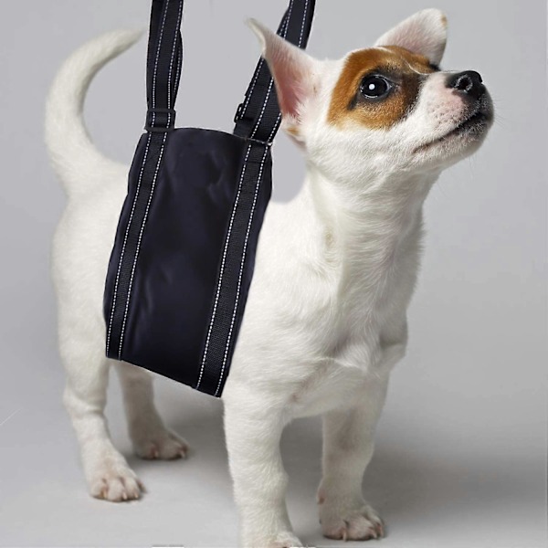 Stor Hund Mobilitetshjælp Støtteslynge til Bagben, Hofteløftesele til at Løfte Kæledyr Bag Foran L
