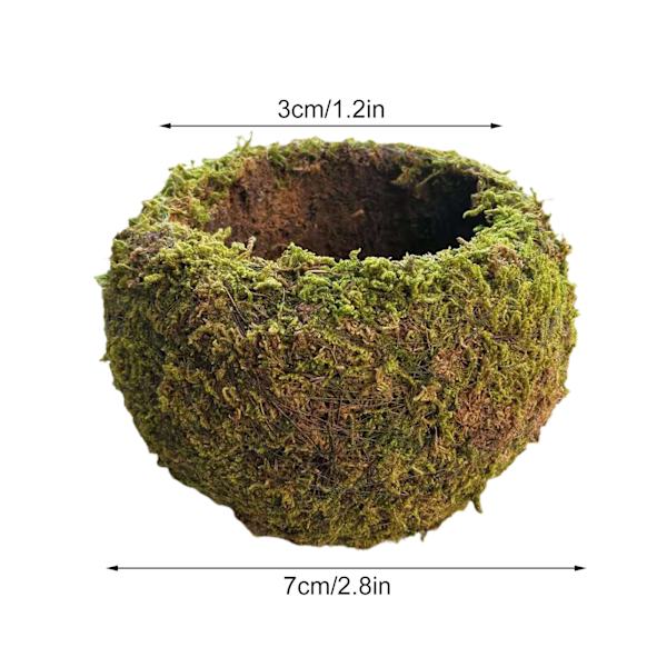 Mossboll i japansk stil Trädgårdsarbete Krukväxt Mossblomkruka C C