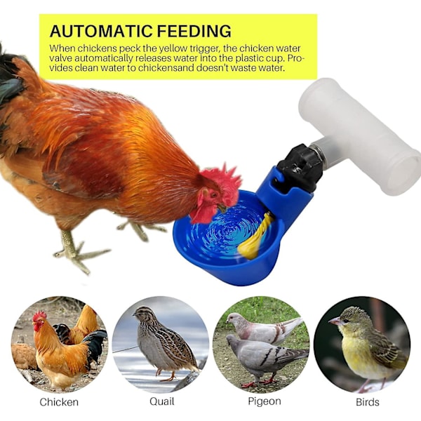6 st Kyckling Vattenkoppar Plastskål Automatisk Vattnare för Höns Fåglar Vaktlar Fjäderfä Vattenautomater